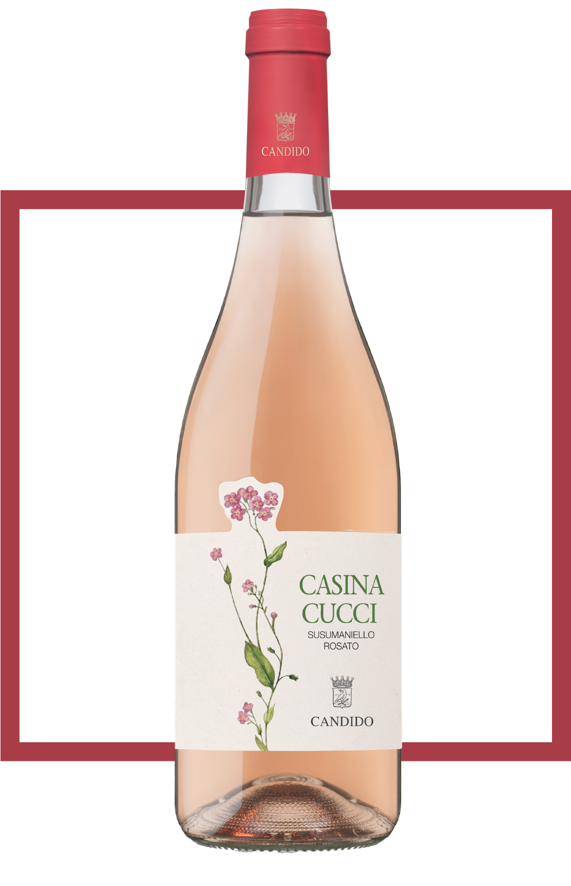 Casina Cucci rosato