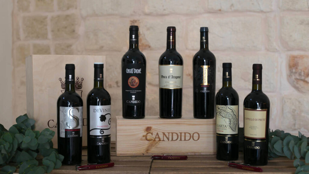 candido vini cavatappi